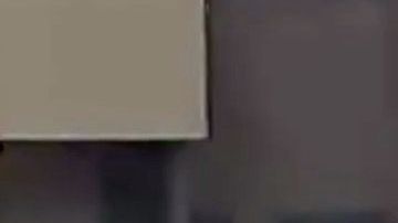 El momento en que dejan al perro morir.