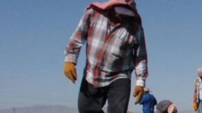 El 90% de los trabajadores son latinos en el Valle Imperial.