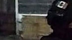 Captura de José Antonio Yepez, alias "El Marro", fundador del Cártel Santa Rosa de Lima.