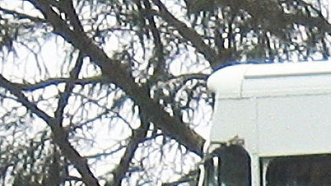 Un camión del Servicio de Correos de Estados Unidos.