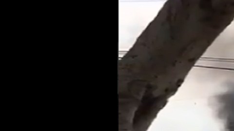VIDEO: En 50 trocas, La Nueva Familia Michoacana ataca base de Guardia Nacional