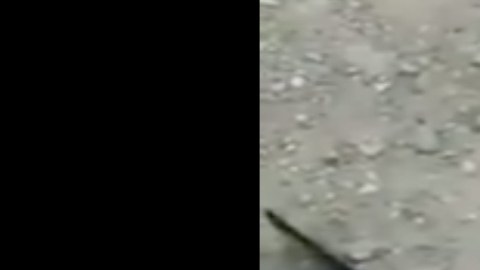VIDEO: "Nos traen a morir", dice sicario de Los Viagras, le pagaron $134 dólares por luchar con CJNG