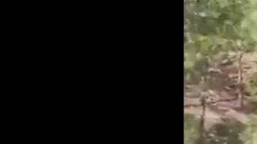 VIDEO: Brazo armado del Cártel de Sinaloa muestra las poderosas armas que posee