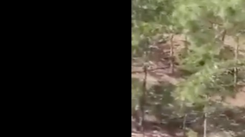 VIDEO: Brazo armado del Cártel de Sinaloa muestra las poderosas armas que posee
