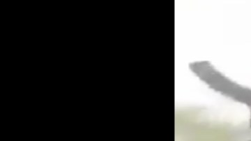 VIDEO: Cárteles Unidos retan al Mencho a bordo de una camioneta monstruo