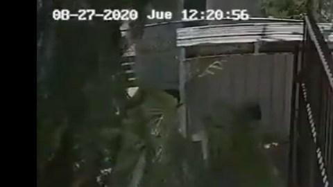 VIDEO: Mexicanos y estadounidenses así son despojados de autos por narcos cerca de frontera