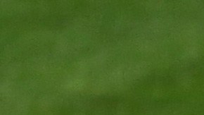 Yoenis Céspedes salsa baile