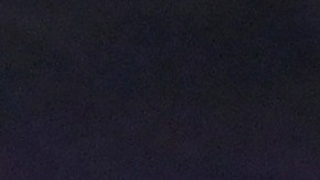 El gol histórico de Tyler Adams.