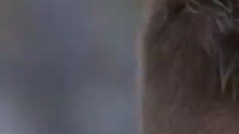 Iván Arana y Angelique Boyer en "Imperio de Mentiras".