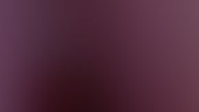 Anthony Rojo de León tenía 3 años y estaba en la tiendita de su familia al sur de Miami.