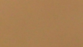 Más de 1,300 bomberos y voluntarios participan en las tareas de extinsión. Foto: DAVID SWANSON / Efe