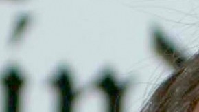 Belinda y Christian Nodal.