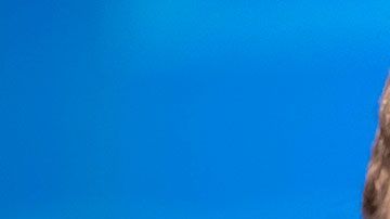 El millonario Bill Gates, además de George Soros y la familia Rockefeller, son señalados por Tribunal de Perú de planear la pandemia por COVID-19.