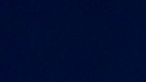 Trump ha perdido amplio apoyo de las mujeres blancas, según las encuestas.