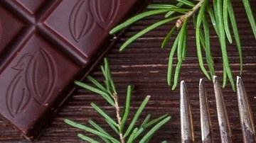 Bizcocho de chocolate.