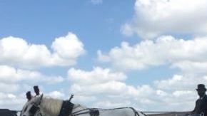 La carroza de Vanessa Guillén.