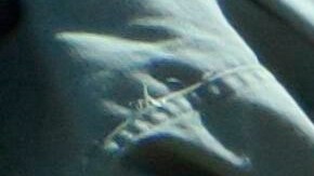 Agentes de CBP asisten a un inmigrante que se desmayó debido al calor en el desierto de Arizona.