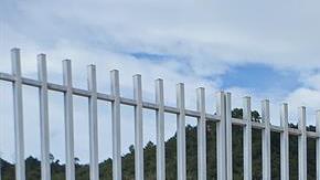 Exigen liberar al médico Grajales Yuca.