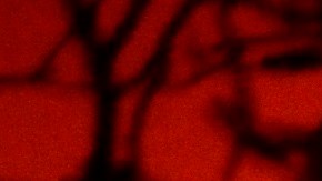 Fenómenos meteorológicos provocarán nuevos focos o propagarán los que hay.