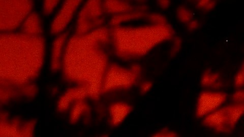 Fenómenos meteorológicos provocarán nuevos focos o propagarán los que hay.