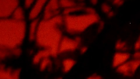 Fenómenos meteorológicos provocarán nuevos focos o propagarán los que hay.