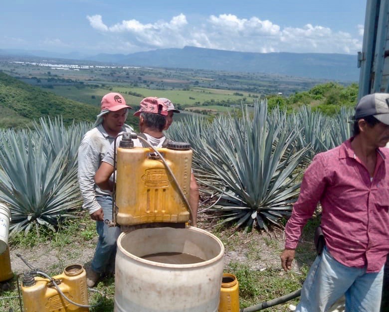 Trabajadores de El Arenal, Jalisco.