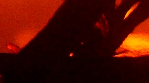 Incendios forestales