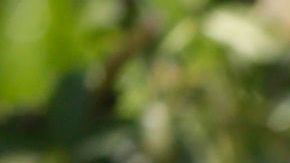 Proteger a los niños de químicos tóxicos: qué dice un nuevo informe