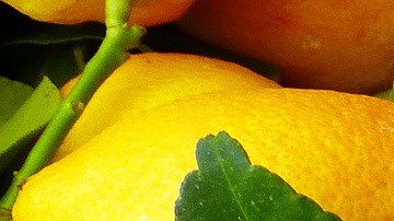 Limón amarillo.