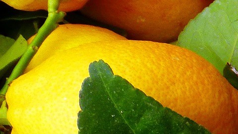 Limón amarillo.