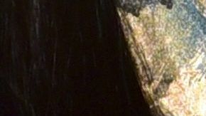 Kourtney Kardashian.