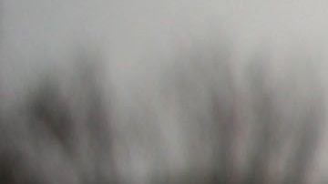 Activists Rally For Permanent Protections For Temporary Protected Status (TPS) Holders