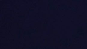 Tucker Carlson ha respaldado las políticas del presidente Trump.