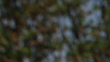 Qué sigue después del Censo 2020 / Foto: Getty.