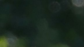 La pareja estuvo en Vermont el año pasado.