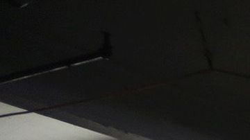 Se han entablado pláticas para realizar una función con jóvenes boxeadores, en Colombia.