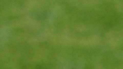 Antoine Griezmann.