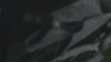 Aprende a interpretar los lunares del cuerpo.