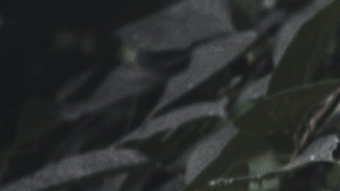 Aprende a interpretar los lunares del cuerpo.