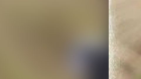 Jayla Jones fue vista por última vez el lunes por la mañana.