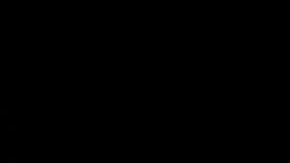 jorge masvidal mansion