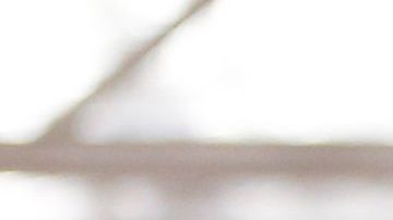 Karate, un arte marcial que puedes aprender gratis.