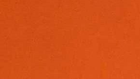 Ronald Koeman dejará de ser técnico de los Países Bajos.