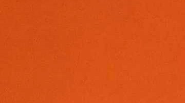 Ronald Koeman dejará de ser técnico de los Países Bajos.