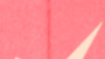 María Celeste Arrarás