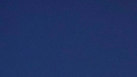 Leo Messi volvió a quedar fuera de la Champions.