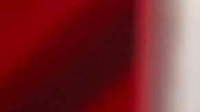 Myrka Dellanos queda fuera de 'Al Rojo Vivo'.