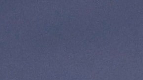 Neymar celebra el pase a la gran final del PSG.