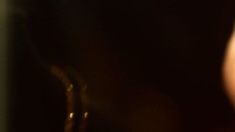 Una pizza con este ingrediente puede alcanzar un precio de $2 mil dólares.