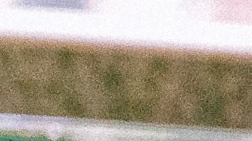 La explicación llegó después de que China asegurara haber encontrado partículas COVID-19 en alimentos importados.